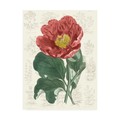 Trademark Fine Art Vision Studio 'Peony Flower Garden I' Canvas Art, 14x19 WAG14494-C1419GG